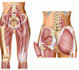 create scientific and medical illustrations