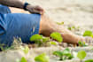 create tropical island product photography in hawaii