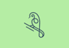 design bird logo with my creative thinking