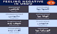 help you learn urdu