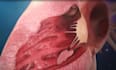 create detailed 3d medical animations, video, surgery, virus animation, anatomy