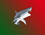 design unique and creative shark logo for your business