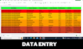 do data entry copy paste, web research, and excel data entry