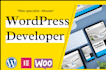 develop and design wordpress websites