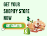 develop, design and kickstart your ecommerce shopify website