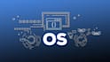 assist in operating system, assembly and data structures tasks