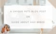 write a seo pets blog or article on animal care, cats, dogs and pet training