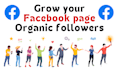 grow your facebook page organically