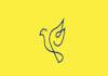 design bird logo with my creative thinking