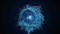 make sky into ocean logo reveal animation