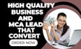 provide mca leads generate business loan leads with mca ads