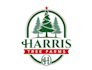 design a professional modern tree logo