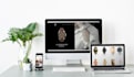 make business website using wix and wordpress