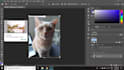 resize image, edit,  transparent or remove the background