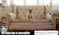 create a professional business video advert commercial