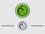 do a professional modern football, the dragon logo