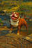 transform your pet into fantasy ai art