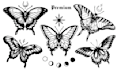 design a beautiful butterfly drawing