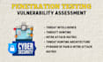 do website penetration testing, identify vulnerabilities