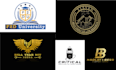 do create a professional minimalist logo design