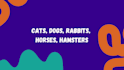 write blog posts and articles on pet niche