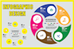 design a customize professional unique infographic, flow chart