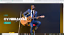 design professional wordpress website and blog website