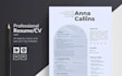 design a professional resume or CV