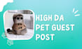 do pet guest post on da 54 site with three dofollow link
