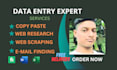 virtual assistant, data entry ,web research and copy paste