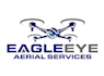 design unique drone logo for your company