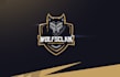 design a professional modern eagle logo