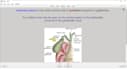 make medical anki flashcards for your lectures and exams