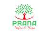 design creative yoga tree logo for you