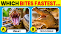 create quiz, trivia questions youtube videos