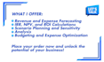provide financial model with forecasting, irr analysis, and budgeting services