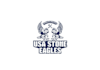 do good looking creative hand carved eagles stone logo