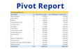 do specialist excel pivot table report