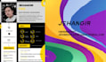 make professional infographic resume design graphical CV