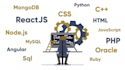 program in python and javascript, high quality web, desktop application