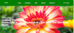 do responsive  frontend and backend web development for you