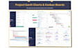 provide world class project, program and change management consulting