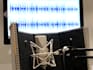 professional french voice over for all your projects