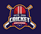 design modern awesome cricket logo