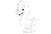 convert your any image into vector line art illustration