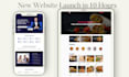 design or redesign a responsive wordpress website