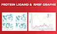 do protein ligand docking and MD simulation
