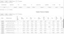 design, solve issue on ssrs, rdlc, crystal, paginated report with sql