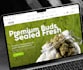 build responsive wordpress business website with elementor pro