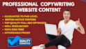 do professional SEO copywriting and website content